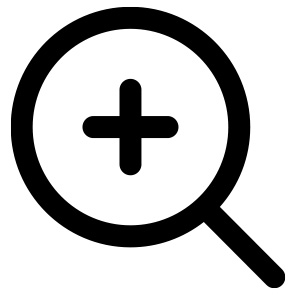 An icon depicting magnifying glass with a plus symbol in the middle.
